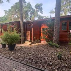 Chalet op Vakantiepark Dennerhode