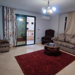 Spacious apartment with Nile view