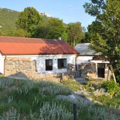 Mountain Cottage Mons Baebius