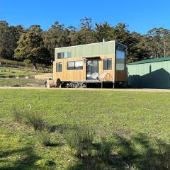 Little Pardalote Tiny Home Bruny Island