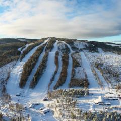 Hassela Ski Resort