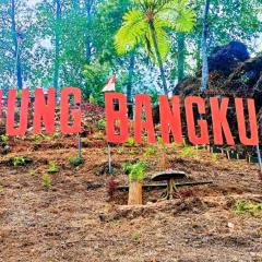 Gunung bangku ciwidey rancabali camp