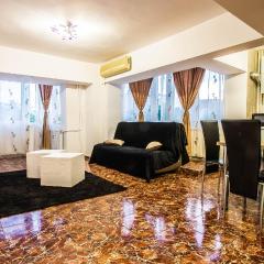 CITY CENTER Bulevard Unirii SPACIOUS Apartment