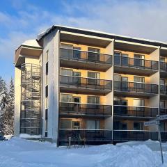 Holiday Home Levin aurinko - alakuuntie 2- as 17 by Interhome