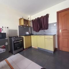 Furnished studio apartment- Ngara