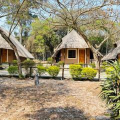 THE GALAXY FOREST LODGE