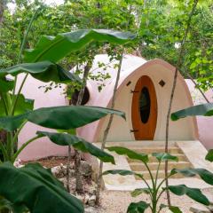 Room in Lodge - Eco-lush Double Mayan Dome Cenote And Bikes