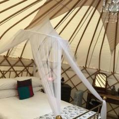 Luxury Yurts