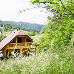 Apartma Smithy (Kovačnica)