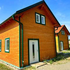 Holiday Home Hakuna Matata with sauna