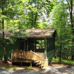 Cabin in Cook Forest