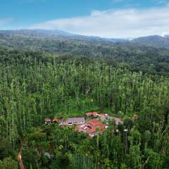 Cozy Tent Stay by Jungle Greens Homestay