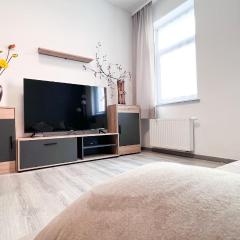 217 Zentrum Ost Apartment (Hbf/A14)