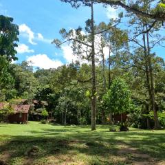 Jungle Zen Janda Baik Campsite