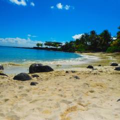 Coral Park Appt D1