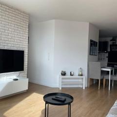 Appartement 3p Ivry