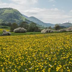 chez Léontine