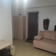 Apartament cu o camera și living open space,