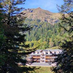 Résidence récente au coeur des monts du Cantal