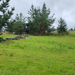 Eco bosque y cabañas