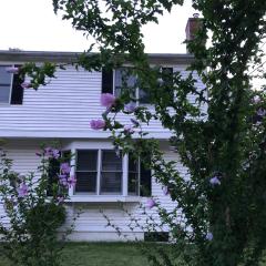 Room in Single Family House - Suburban Neighborhood in Boston