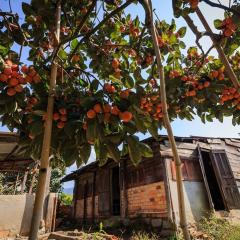 FarmHomestay near ZooDoo