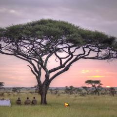 Olmara Camp