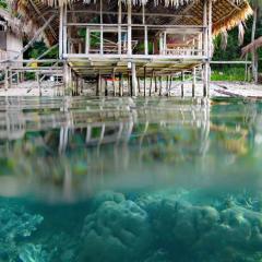 David HOMESTAY RAJA AMPAT