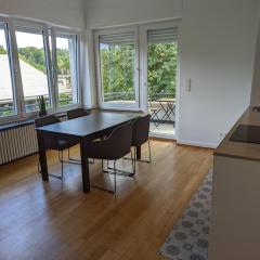 Refurbished 1BR Apartment in Limpertsberg