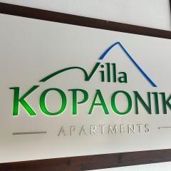 Vila Kopaonik Apartmani Milenkovic