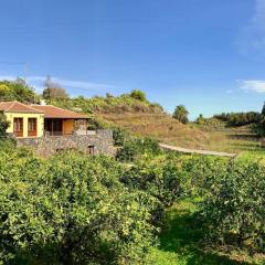 RUSTIC HOUSE LA MONTAÑA