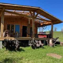 Preciosa cabaña pet friendly con vista a volcanes Villarica y Choshuenco, cerca Termas