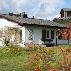 Ferienhaus mit Garten Tgease Schilendra-Lantsch-Lenz-Lenzerheide