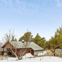 Lovely Home In Dovre With Kitchen