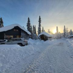 Cozy mountain house in Jämtland