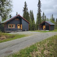 Cozy mountain house in Jämtland