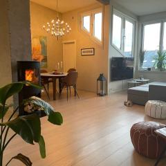 Exclusive, cosy, elegant Frogner apartment in the center of Oslo