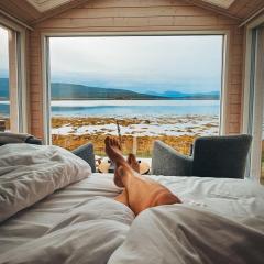 Norwegian Wild