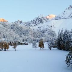 Family Appartment - Dachstein View