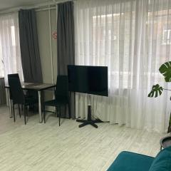 Apartment Artynova 29