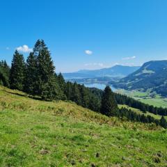 Ferienwohnung Sonnenblume mit Hallenbad und Sauna