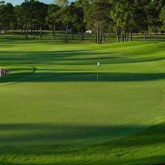 Timber Top golf course view