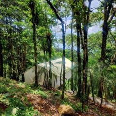 Volcano Tenorio Glamping Ranch - 3 Tents