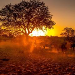 Bagatelle Kalahari Boutique Farmhouse Lodge