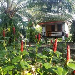 สบายคันทรีรีสอร์ท ปากเมงSa-buy country resort Pak Meng