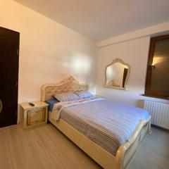 Apartament 3 camere