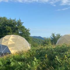 Dome Home Tents Taor