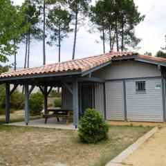 Les ajoncs