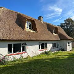 Sommerhus in grüner Natur