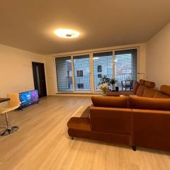 New apartment “pod papiernou”